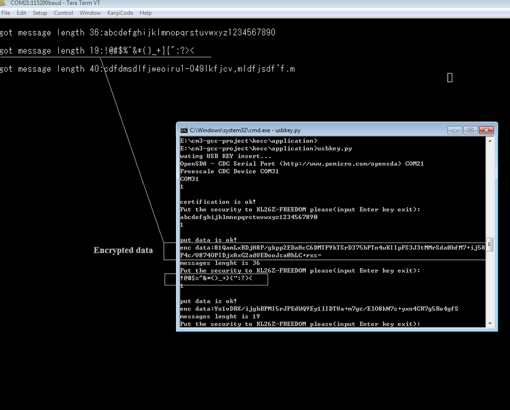 21556_21556.png 21556_21556.png