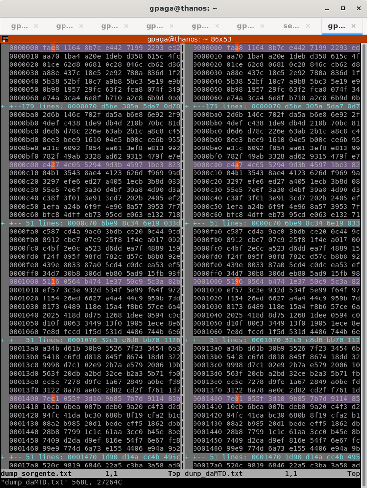 vimdiff betwwen whta we write, and what we read back