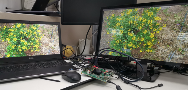 joanxie_2-1635227671478.png joanxie_2-1635227671478.png