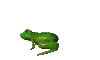 frog.gif frog.gif