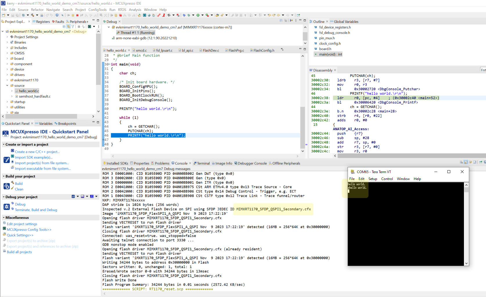 RT1170 flexSPI1 secondary QSPI flash debug flashdriver - NXP Community