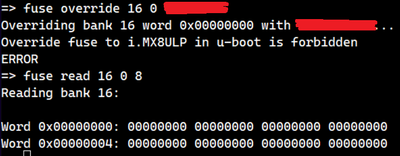 Gorka_3_0-1709565410629.png Gorka_3_0-1709565410629.png