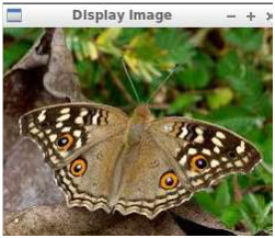 pastedImage_35.png pastedImage_35.png