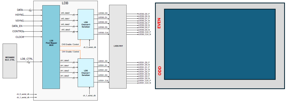 i.MX 8M Plus - Configuring LVDS channels to odd and even - NXP