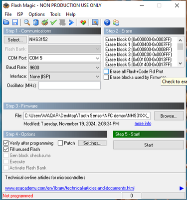 Flash magic 1.bmp Flash magic 1.bmp