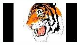 TigerG2D.jpg