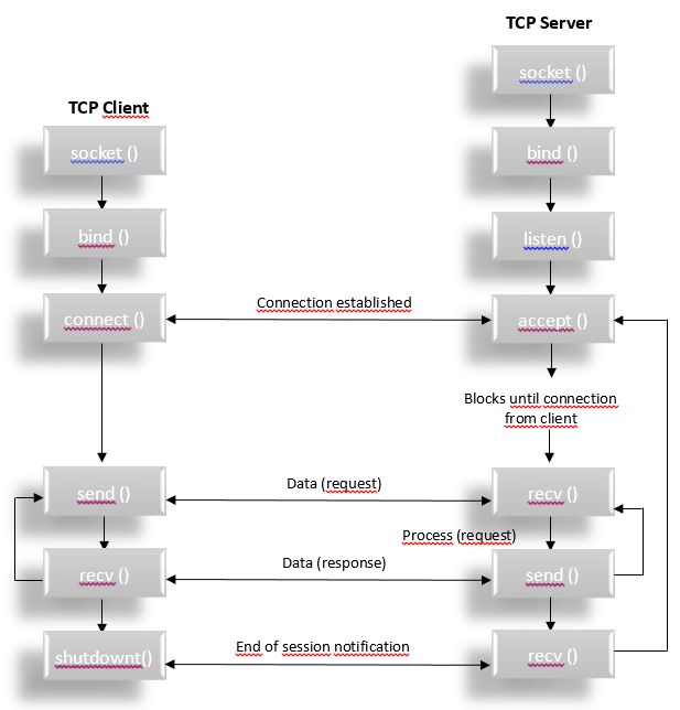 pastedImage_3.png pastedImage_3.png