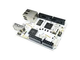 freedog.jpg freedog.jpg