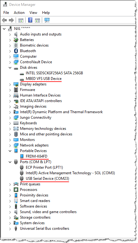 Device Manager.png