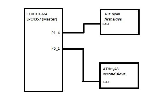 cortex.jpg cortex.jpg