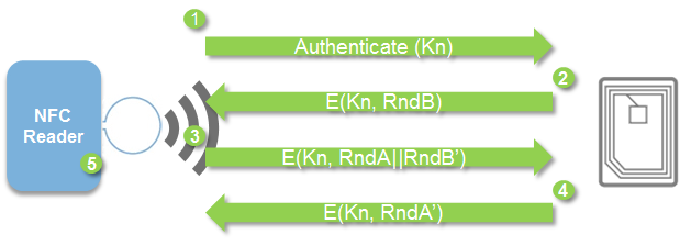 pastedImage_4.png pastedImage_4.png