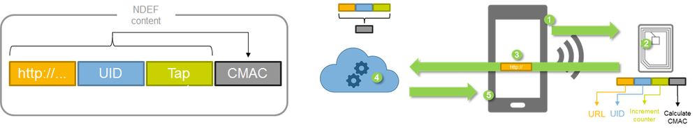 pastedImage_2.png pastedImage_2.png