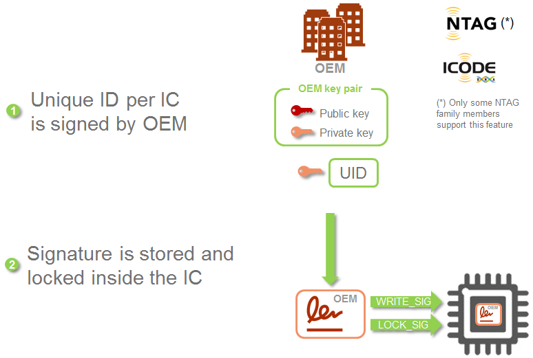 pastedImage_6.png pastedImage_6.png