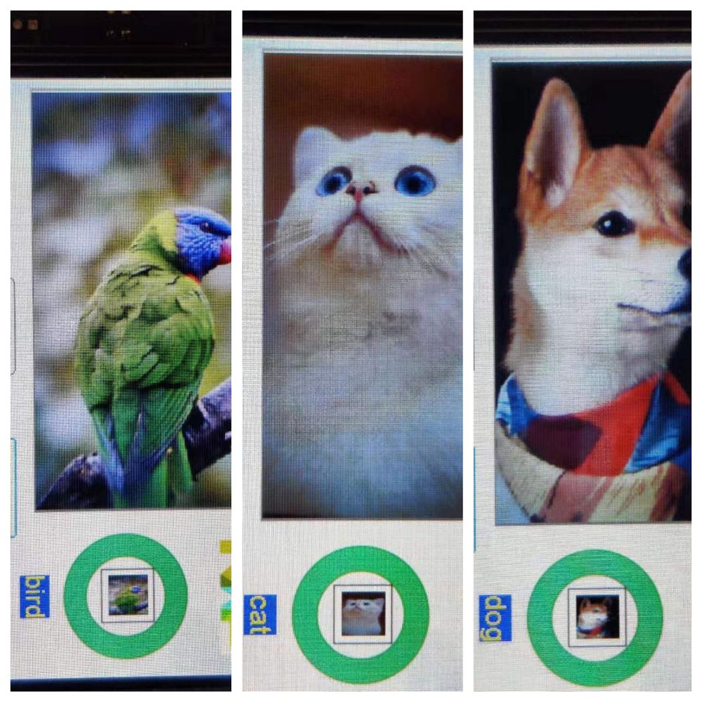 pastedImage_4.jpg pastedImage_4.jpg