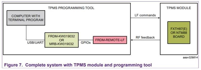 Fig 7.jpg