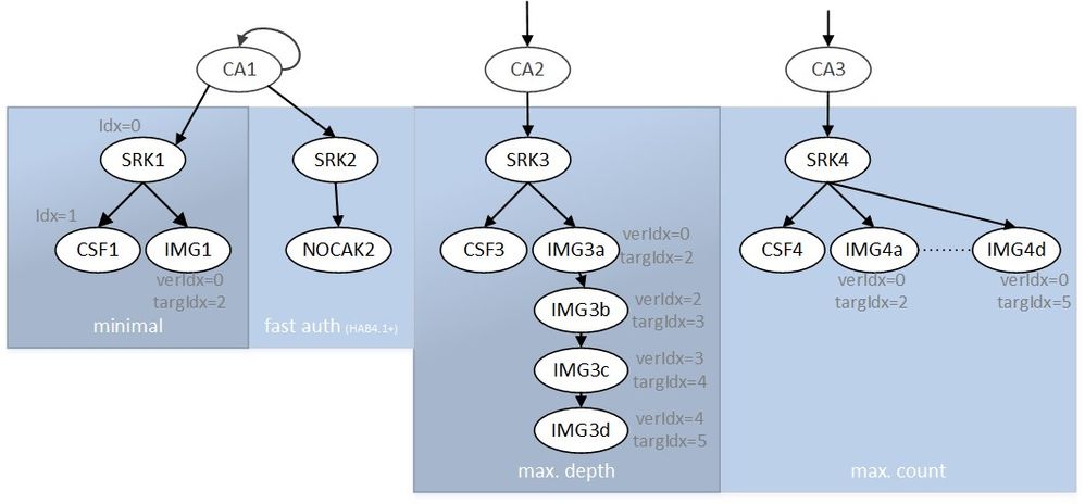 CST-Cert-Tree-extrems.jpg CST-Cert-Tree-extrems.jpg
