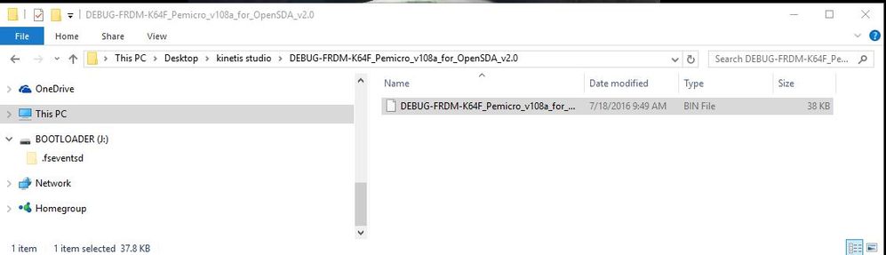 debuggerFirmware.JPG debuggerFirmware.JPG